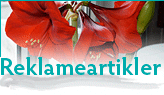 Klik og læs mere om vore ydelser inden for reklameartikler